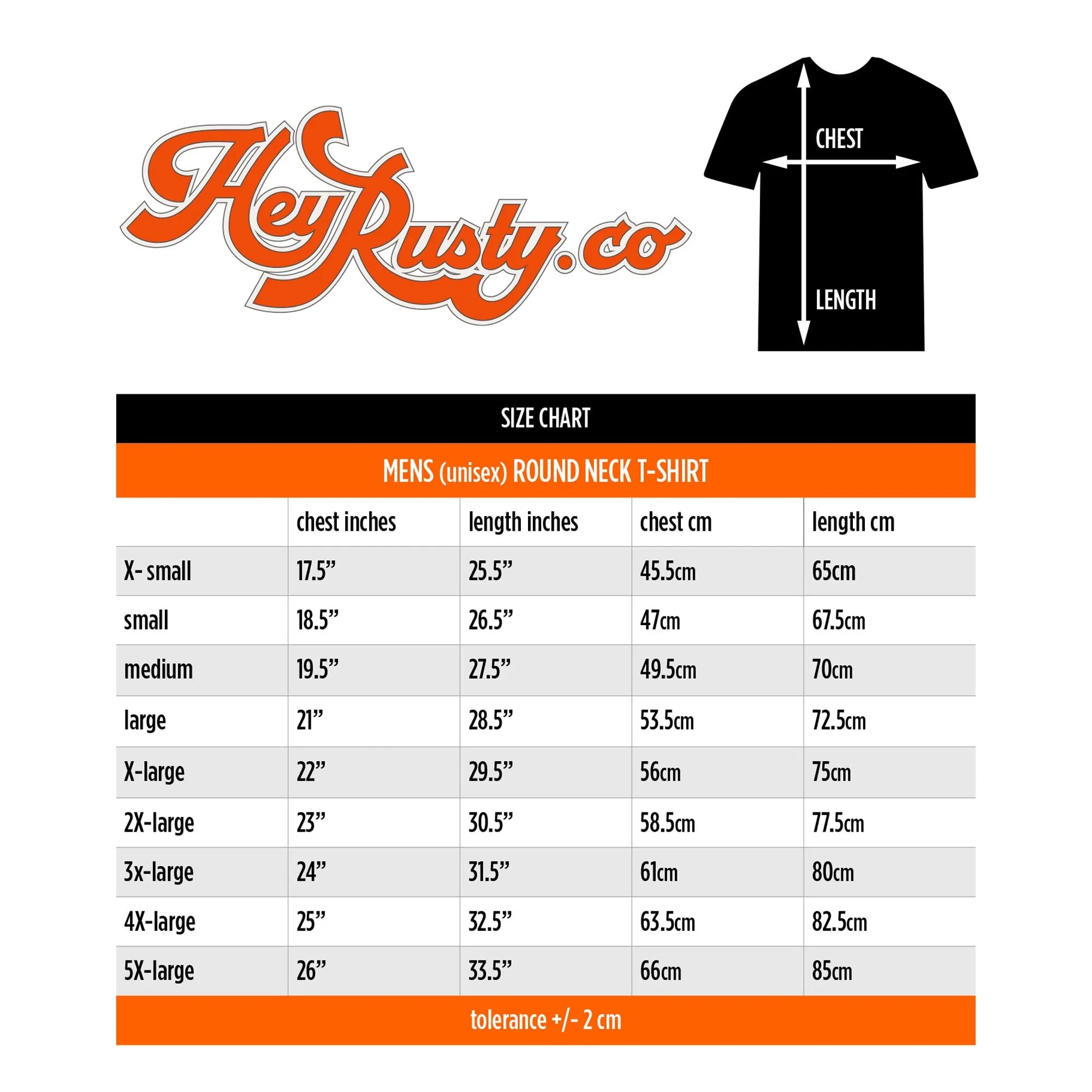 AC/DC | Official Band T-Shirt | Blue Logo & Stripe