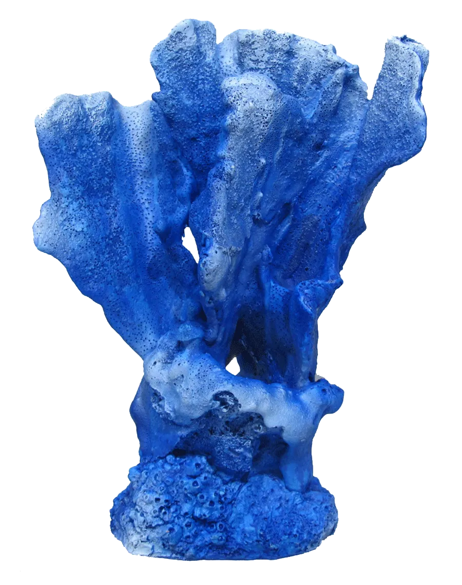 Aquamate - Corals (Large)