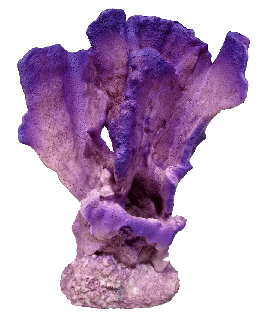 Aquamate - Corals (Large)