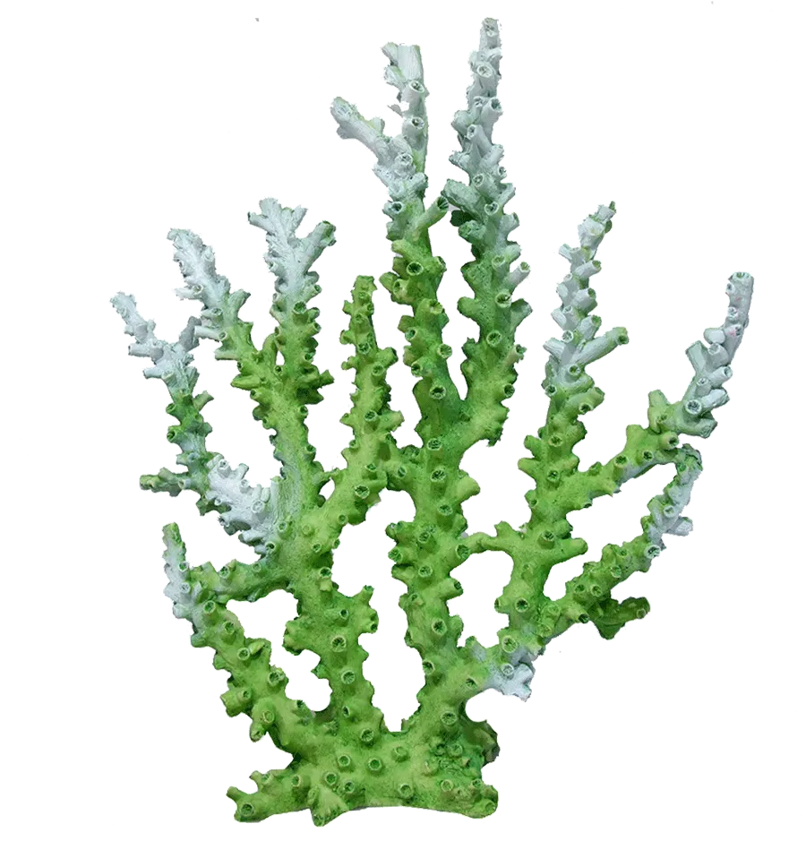 Aquamate - Corals (Large)