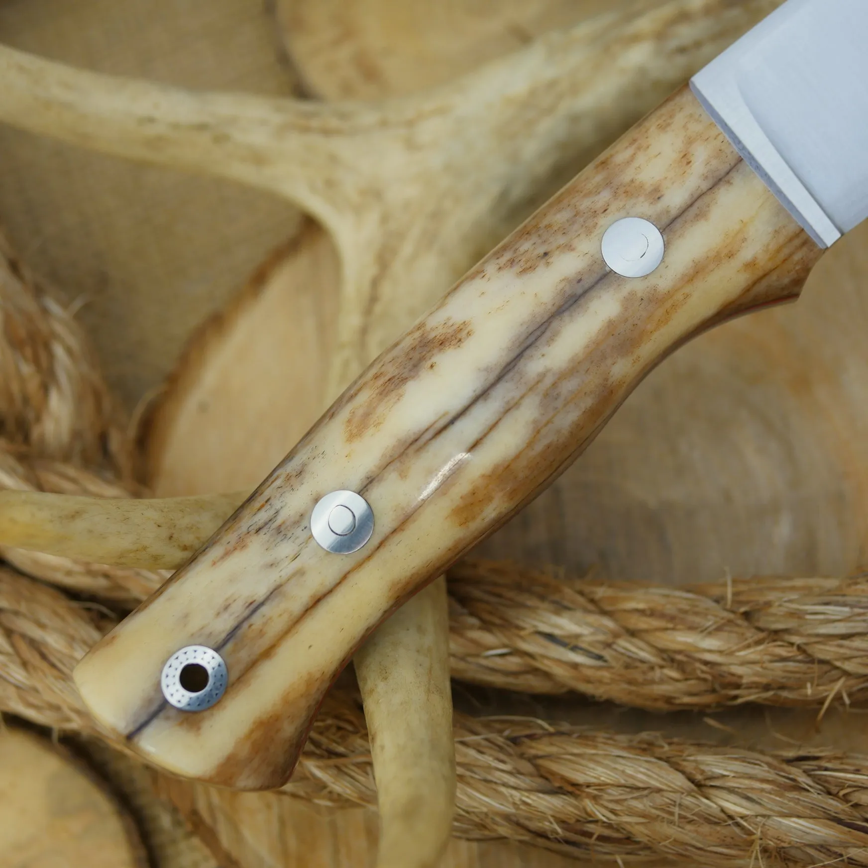 Huntsman: Giraffe Bone, Cinnamon Red & Mosaic