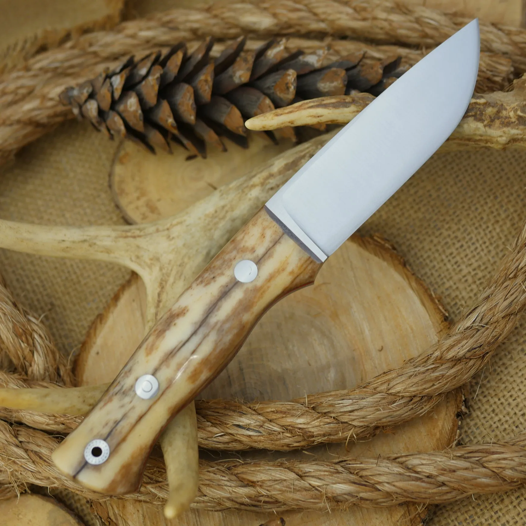 Huntsman: Giraffe Bone, Cinnamon Red & Mosaic