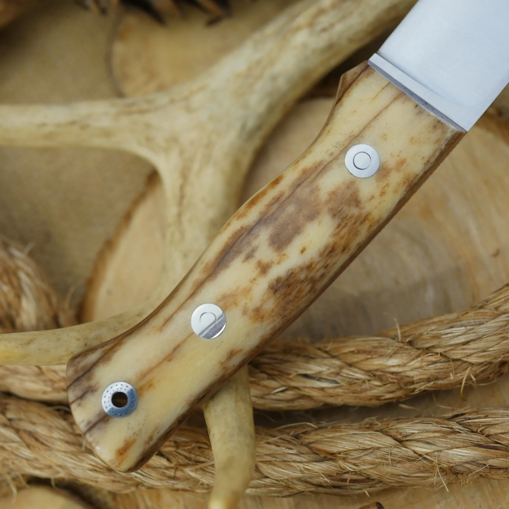 Huntsman: Giraffe Bone, Cinnamon Red & Mosaic