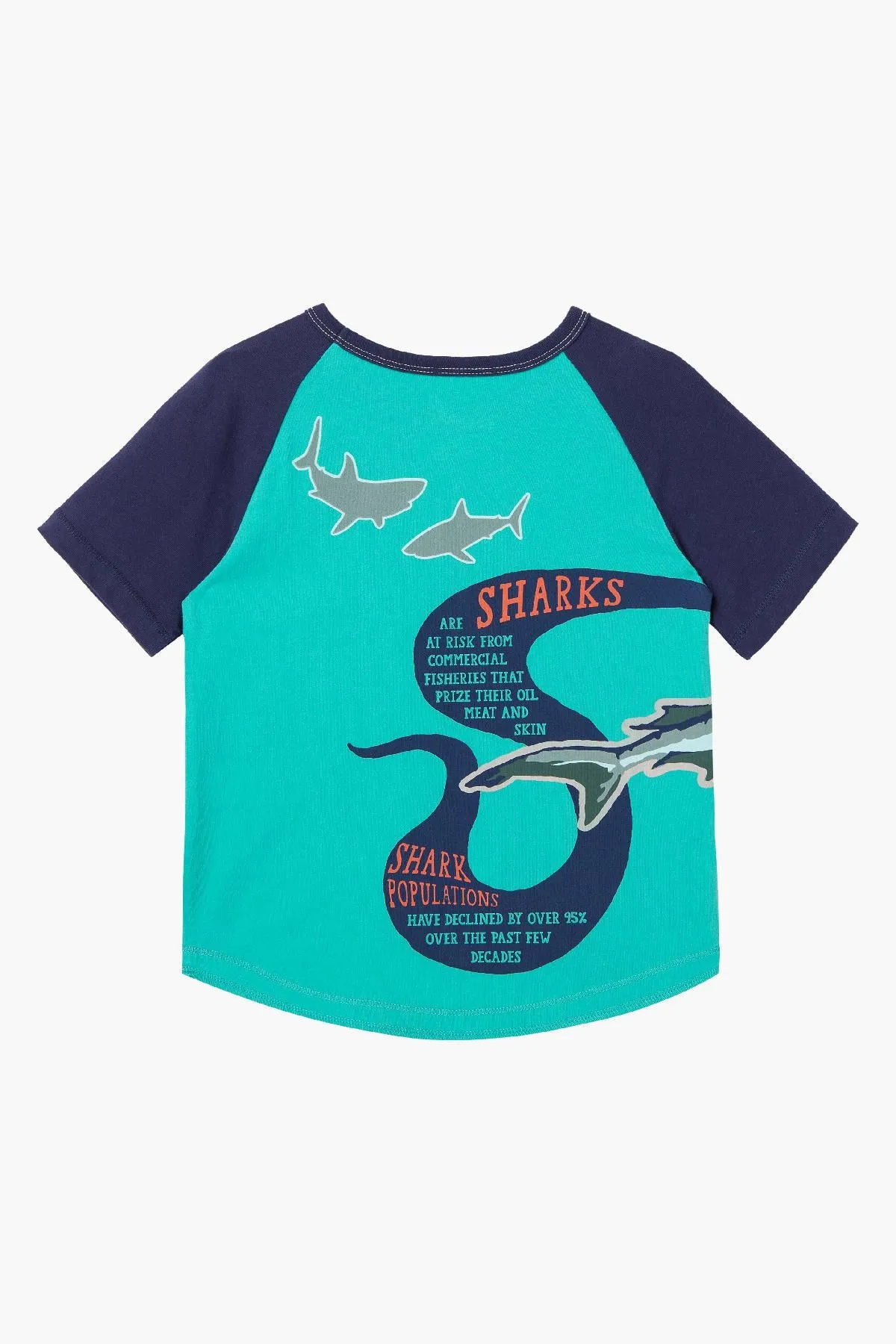 Kids T-Shirt Peek Kids Hammer Head Shark
