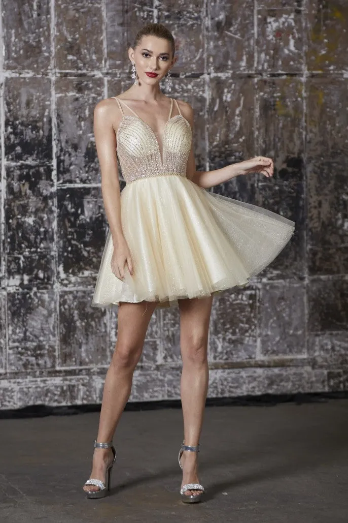Model CD0148
