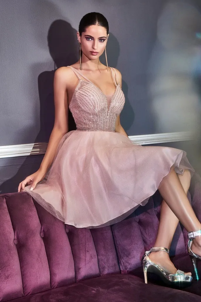 Model CD0148