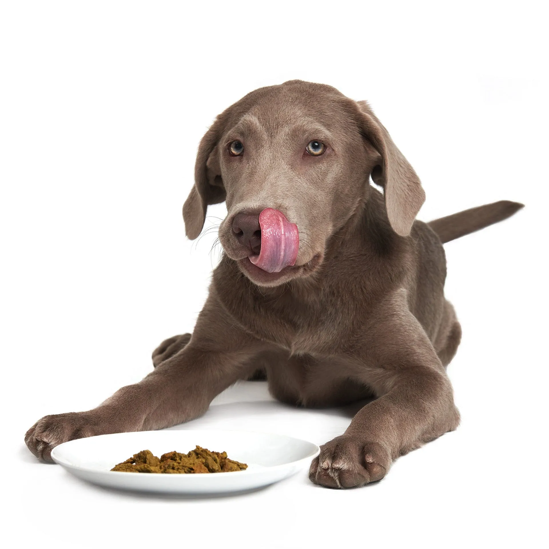 Prairie Harvest Pork (DOG)