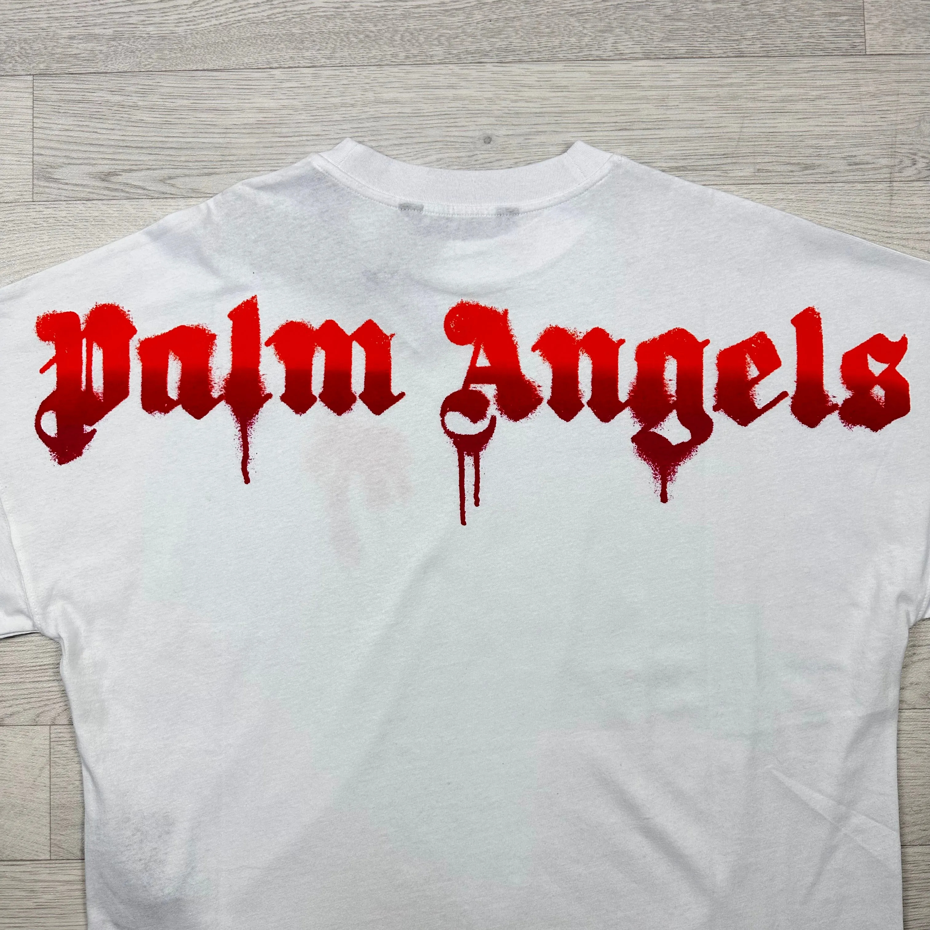 Sprayed Palm Logo