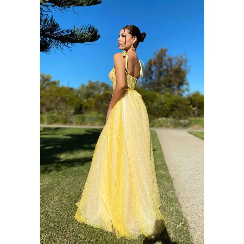 Sweetheart Spaghetti Straps Polka Dot Tulle A-Line Prom Dress
