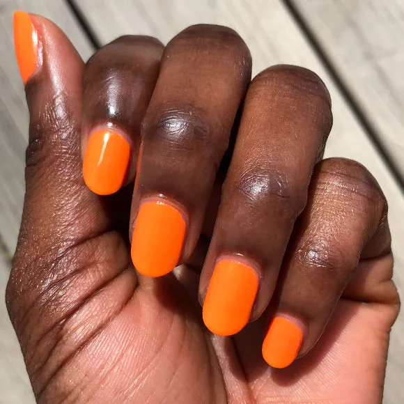 The Summer 2021 Set